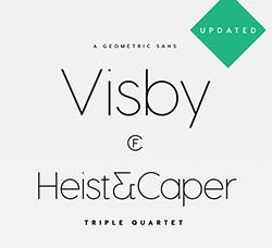 时尚秀气的英文字体(14种类型)：Visby CF font ($15 sale)